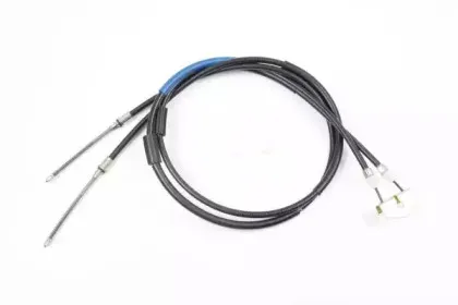 brovexnelson-561007