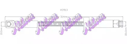 brovexnelson-h3913