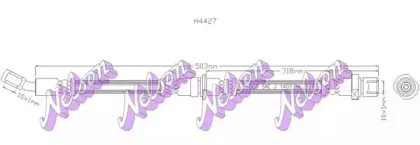 brovexnelson-h4427