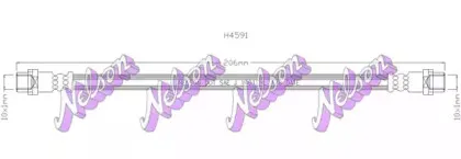 brovexnelson-h4591
