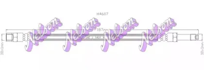 brovexnelson-h4607