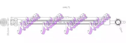 brovexnelson-h4671