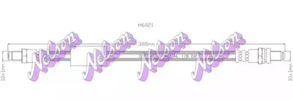 brovexnelson-h6021