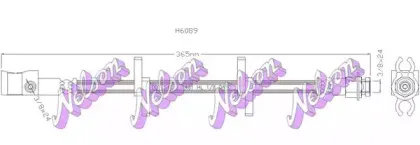 brovexnelson-h6089