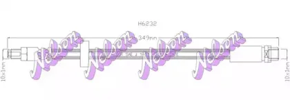 brovexnelson-h6232