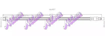 brovexnelson-h6487