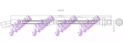 brovexnelson-h6601