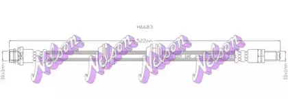 brovexnelson-h6683