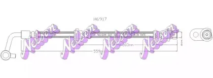 brovexnelson-h6917