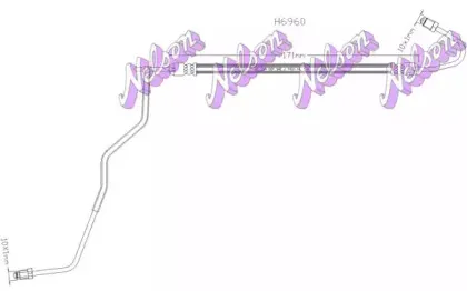 brovexnelson-h6960