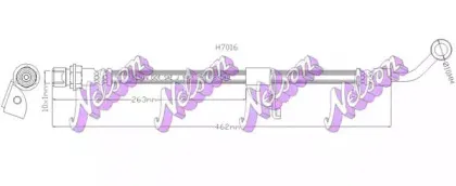 brovexnelson-h7016