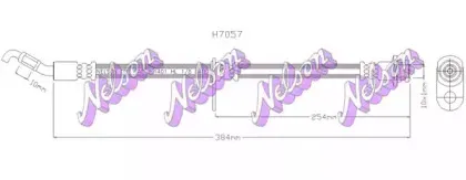 brovexnelson-h7057
