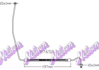 brovexnelson-h7652