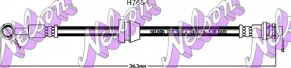 brovexnelson-h7664