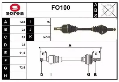sera-fo100