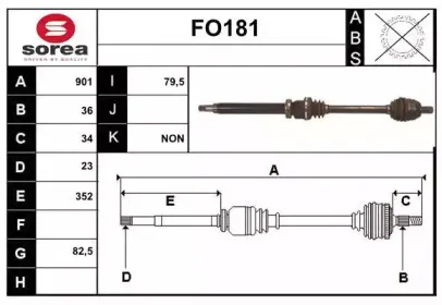 sera-fo181