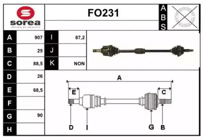 sera-fo231