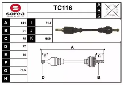 sera-tc116