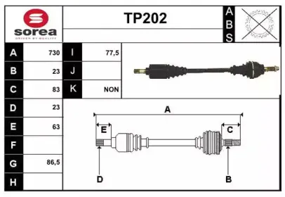 sera-tp202