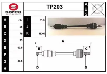 sera-tp203