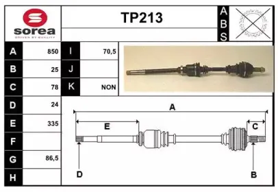 sera-tp213
