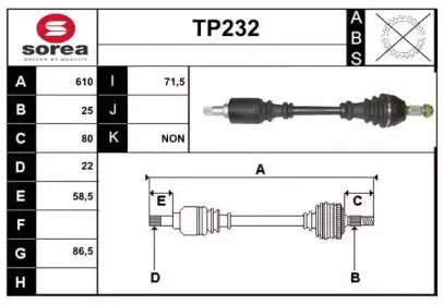 sera-tp232