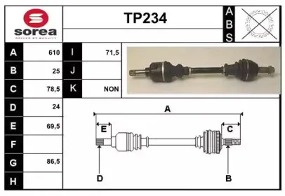 sera-tp234