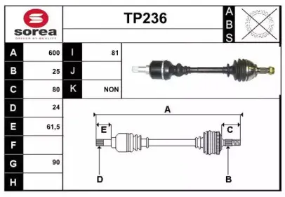 sera-tp236