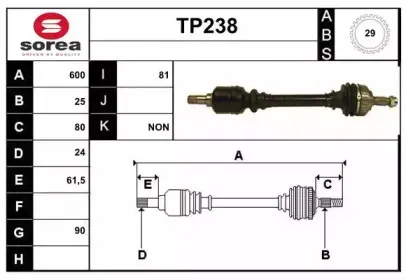 sera-tp238