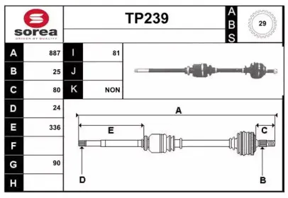 sera-tp239