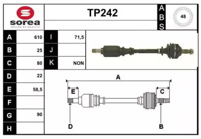 sera-tp242