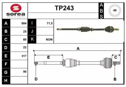 sera-tp243