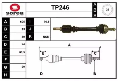 sera-tp246