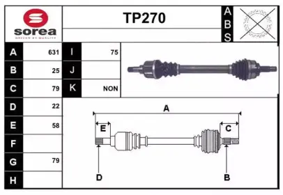 sera-tp270