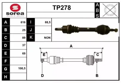 sera-tp278