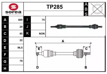 sera-tp285