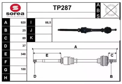 sera-tp287