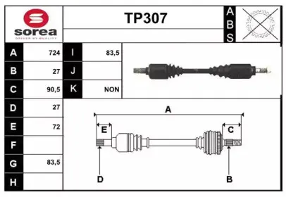 sera-tp307