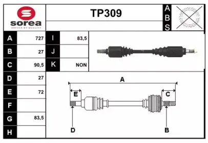 sera-tp309