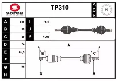 sera-tp310