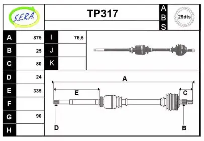 sera-tp317