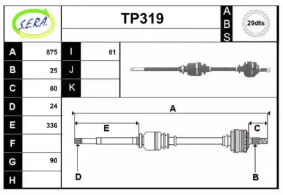 sera-tp319
