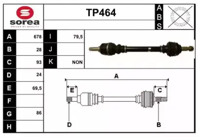 sera-tp464