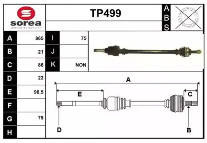 sera-tp499
