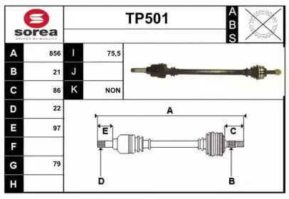 sera-tp501