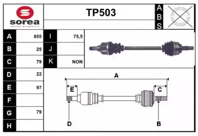 sera-tp503