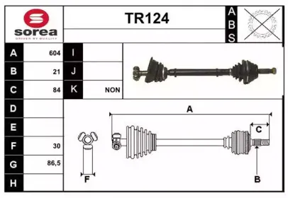 sera-tr124