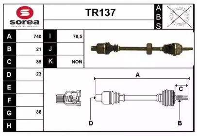 sera-tr137