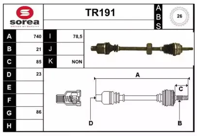 sera-tr191