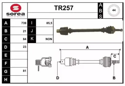 sera-tr257